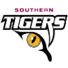 南方老虎logo